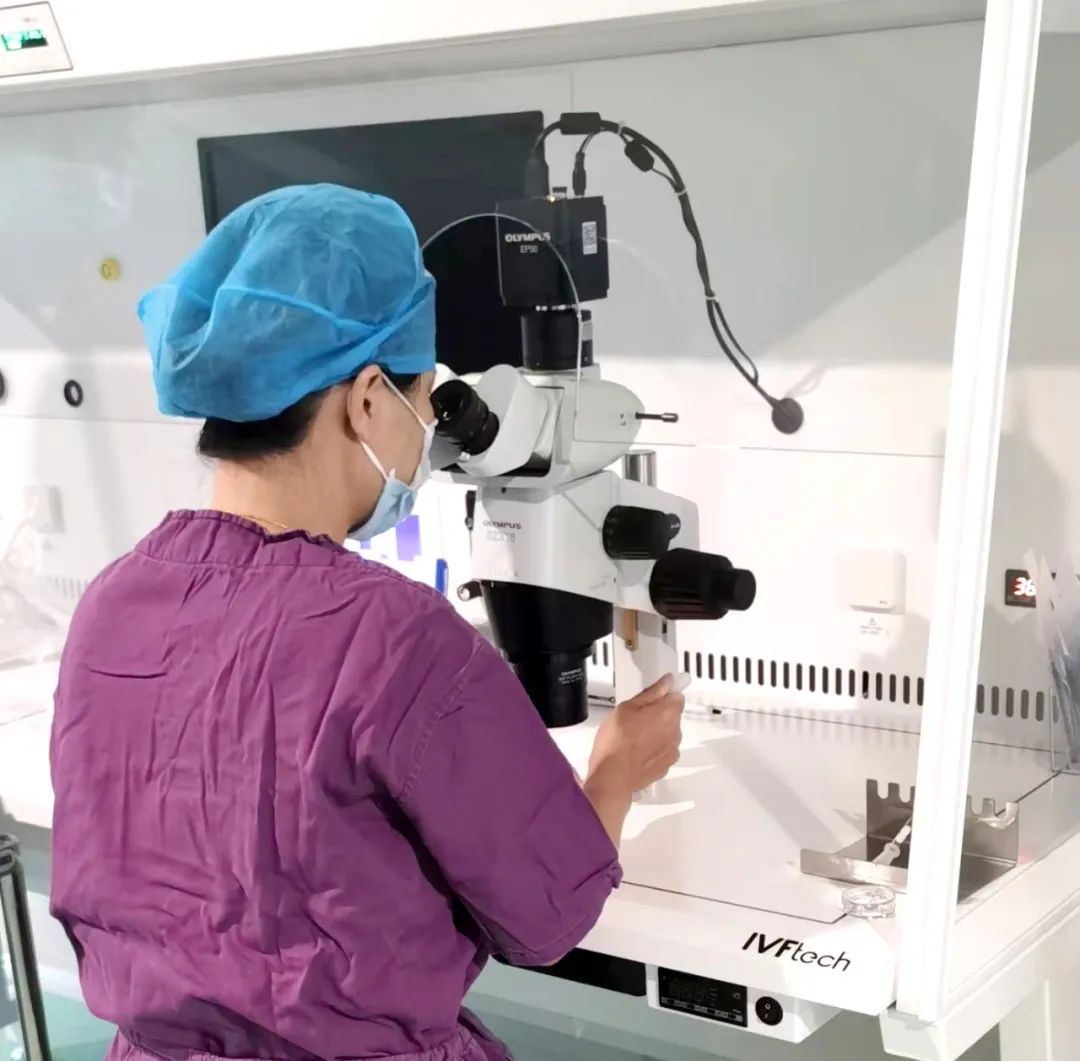 【喜訊】保山首例無精子癥通過試管嬰兒技術(shù)助孕成功！